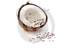 Halved coconut with chocolate