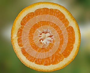 Halved fresh orange