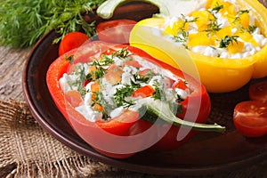 Halved fresh peppers filled with curd and dill close-up