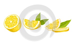 Halved Lemon Citrus Fruit with Green Leaf Vector Set