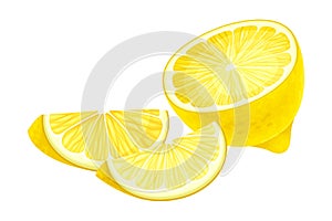 Halved Lemon Ellipsoidal Yellow Fruit with Sour Taste Vector Illustration