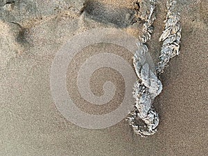 Halyard, cable, cord, rope, rope on a sandy beach. Isolated, place to insert text