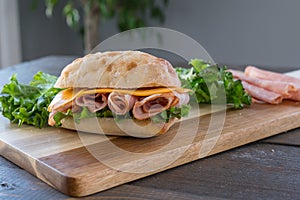 Ham and Cheese Sandwich