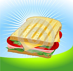 Ham and cheese sandwich