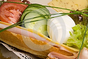 Ham-cheese sandwich