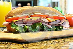 Ham and cheese sandwich