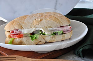 Ham Cheese Sandwich on Dish