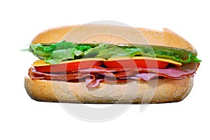 Ham and cheese sandwich isolated