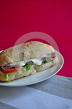 Ham Cheese Sandwich on Red Background