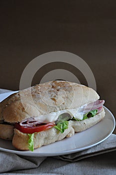Ham Cheese Sandwich on White Plate