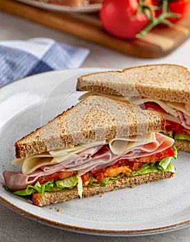 Ham and Cheese Sandwich on Whole Wheat Bread