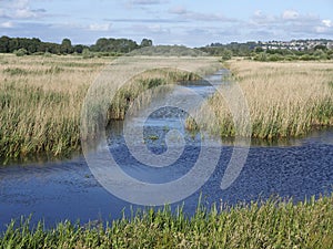 Ham Hall RSPB Reserve