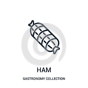 ham icon vector from gastronomy collection collection. Thin line ham outline icon vector illustration