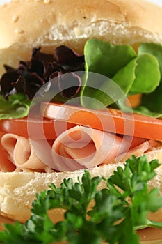 Ham And Salad Roll 7