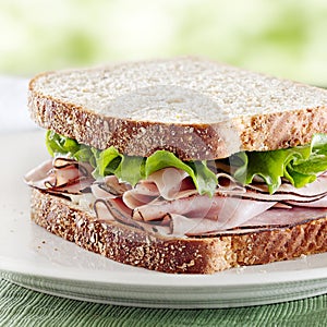 Ham sandwich with lettuce and mayo