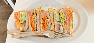 Ham, tuna and vegetable sandwich on a breakfast plate