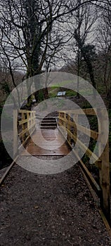 Ham Woods, footbridge  Woodland Stream, Urban nature reserve, Plymouth, Devon uk