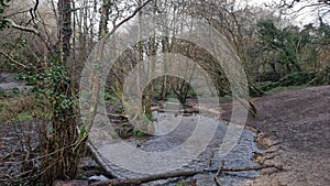 Ham Woods Plymouths best urban nature reserve Devon uk