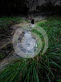 Ham Woods Urban Nature Reserve Plymouth Devon uk