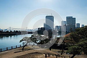 Hama Rikyu Garden in Tokyo