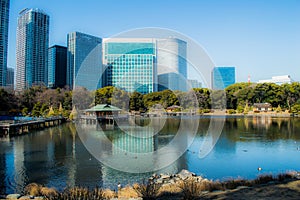 Hama Rikyu Garden in Tokyo