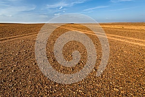 Hamada desert near Ouarzazate in Morocco