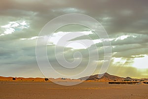 Hamada du Draa, moroccan stone desert in foreground, mountains in background, Morocco