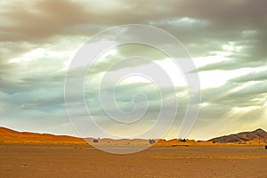 Hamada du Draa, moroccan stone desert in foreground, mountains in background, Morocco