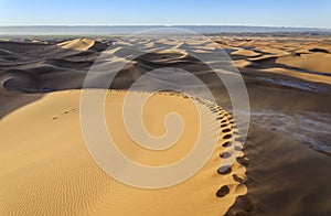 Hamada du Draa Morocco desert