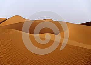 Hamada du Draa, Morocco desert