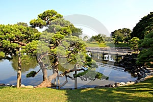 Hamarikyu Gardens in Tokyo, Japan