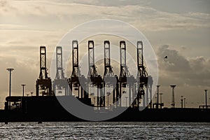 Hamburg port cranes