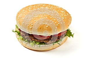 Hamburger photo