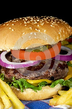 Hamburger photo