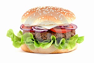 Hamburger photo