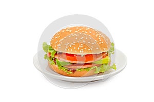 Hamburger with bologna and tomato on white dish