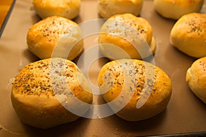 Hamburger breads with oregano