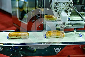 Hamburger buns production line on conveyor belt equipment machinery in factory