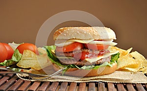 Hamburger with cheese, tomato, onion and lettuce