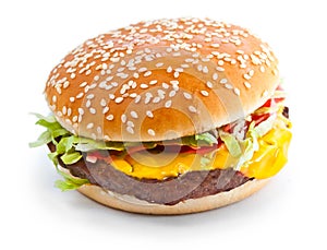 Hamburger closeup photo