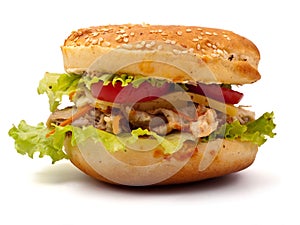 Hamburger closeup view