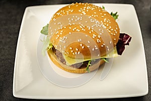 Hamburger - fast but not very healthy food photo