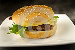 Hamburger - fast but not very healthy food photo