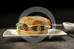 Hamburger - fast but not very healthy food photo
