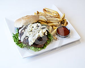 Hamburger and French Fries with ketchup