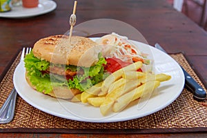 Hamburger with french fries and salad