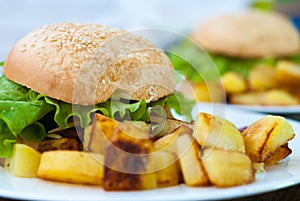 Hamburger and fried potatoes on a white plate