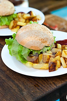 Hamburger and fried potatoes on a white plate