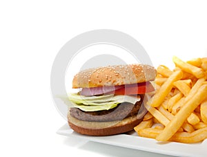 Hamburger and fries