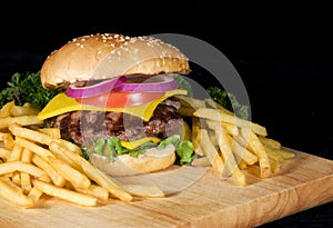 Hamburger & Fries photo